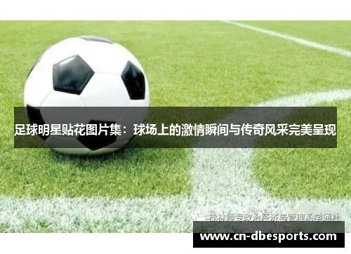足球明星贴花图片集：球场上的激情瞬间与传奇风采完美呈现