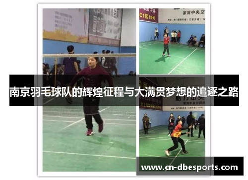 南京羽毛球队的辉煌征程与大满贯梦想的追逐之路