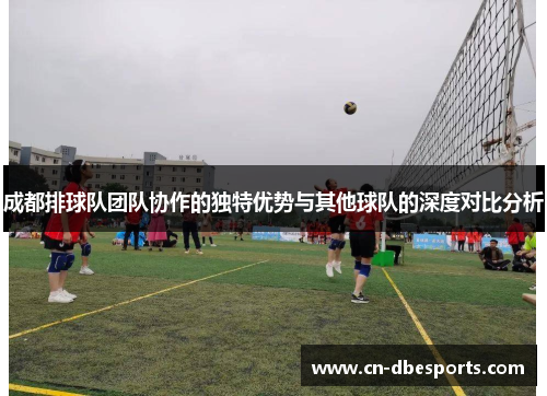 成都排球队团队协作的独特优势与其他球队的深度对比分析