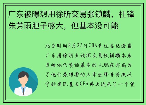 广东被曝想用徐昕交易张镇麟，杜锋朱芳雨胆子够大，但基本没可能